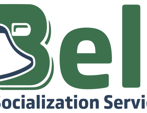 Bell Socialization Services